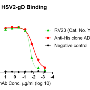 herpes simplex virus (hsv) (serotype 2) gd protein (his tag)