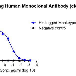 anti his tag human monoclonal antibody
