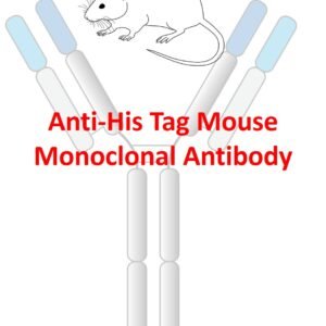 anti his tag mouse monoclonal antibody