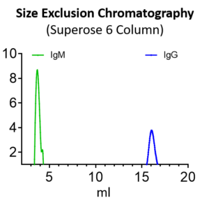 recombinant human anti hmpv fusion igm antibody