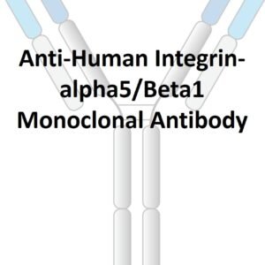 anti human integrin alpha5/beta1 monoclonal antibody
