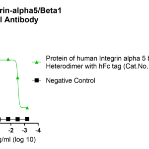 anti human integrin alpha5/beta1 monoclonal antibody