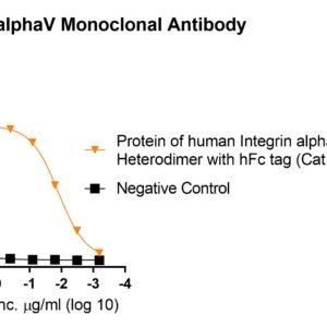 anti human integrin alphav monoclonal antibody