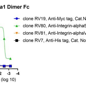 human integrin alpha 5 beta 1 (itga5&itgb1) heterodimer fc/myc tag or tag free