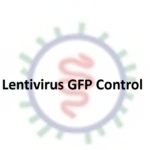 lentivirus gfp control (cmv promoter)