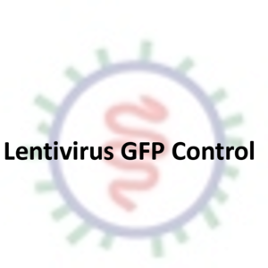 lentivirus gfp control (cmv promoter)