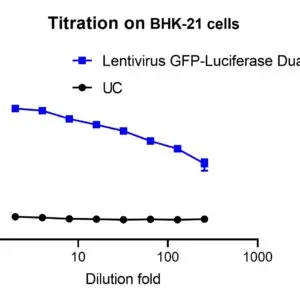 lentivirus gfp luciferase dual reporter (puromycin selection)