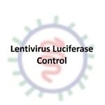 lentivirus luciferase control (cmv promoter)