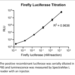 firefly luciferase reporter assay system