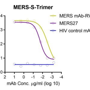 mers cov trimeric spike protein (his and twin strep tags)