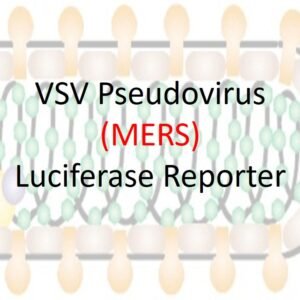 vsv pseudovirus mers cov spike with luciferase reporter