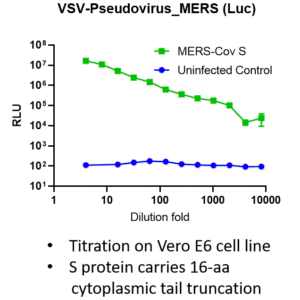 vsv pseudovirus mers cov spike with luciferase reporter