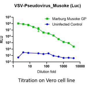 marburg vsv pseudovirus ravn strain gp with luciferase reporter (copy)