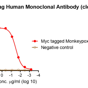 anti myc tag human monoclonal antibody