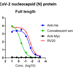 sars cov 2 nucleocapsid (n) protein – full length (his tag)