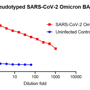 vsv pseudovirus sars cov 2 omicron ba.2 strain spike with luciferase reporter