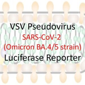 vsv pseudovirus sars cov 2 omicron ba.4/5 strain spike with luciferase reporter