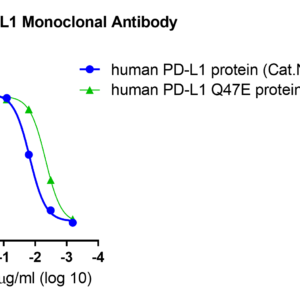 anti human pd l1 monoclonal antibody