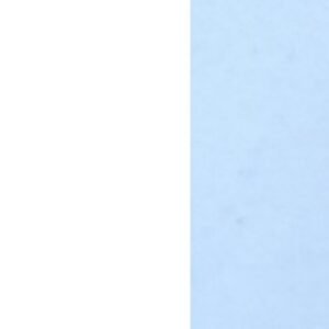 human pd l2 protein, fc tag