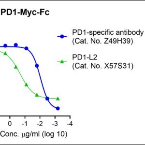 human pd1 protein myc, fc tags