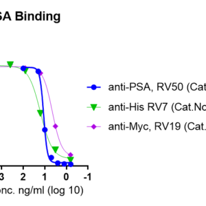 human recombinant prostate specific antigen (kallikrein 3, myc & his tags)