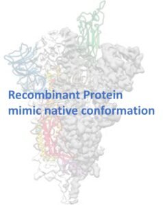 protein logo