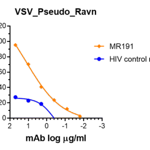 marburg vsv pseudovirus ravn strain gp with luciferase reporter