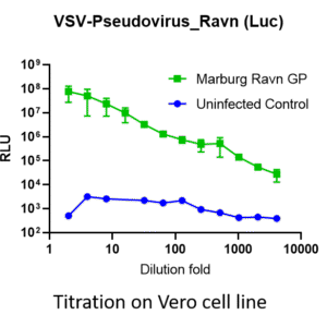 marburg vsv pseudovirus ravn strain gp with luciferase reporter