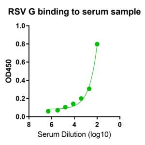 human anti respiratory syncytial virus (rsv) glycoprotein (g) protein antibody iga titer serologic assay kit