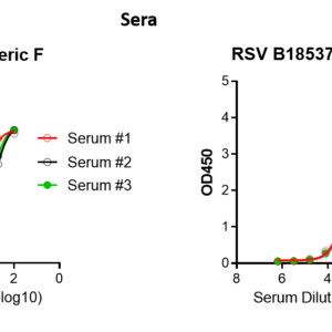 human anti respiratory syncytial virus (rsv) antibody igg titer serologic assay kit (trimeric prefusion protein, f)