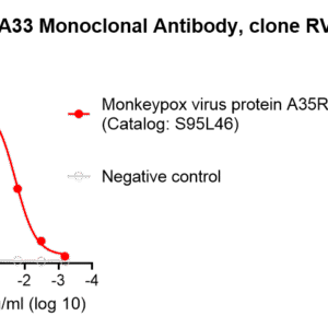 anti monkeypox a33 monoclonal antibody