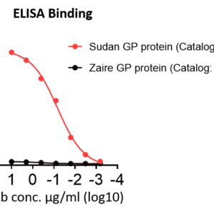 anti ebola sudv glycoprotein gp1/gp2 interface monoclonal neutralizing antibody
