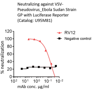 anti ebola sudv glycoprotein gp1/gp2 interface monoclonal neutralizing antibody