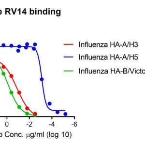 anti influenza ha neutralizing monoclonal antibody (pan flu a and b)