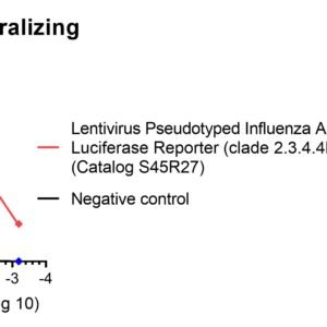 anti influenza ha neutralizing monoclonal antibody (pan flu a and b)