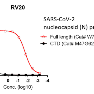 anti sars cov 2 nucleocapsid human monoclonal antibody