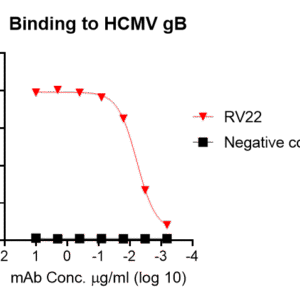 anti chikungunya virus e neutralizing antibody (copy)