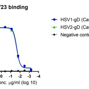 anti herpes simplex virus (hsv) antibody (gd specific)
