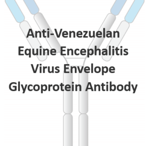 anti venezuelan equine encephalitis virus envelope glycoprotein antibody