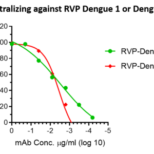 anti dengue e domain iii monoclonal neutralizing antibody