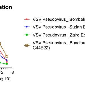 anti ebola broad neutralizing antibody