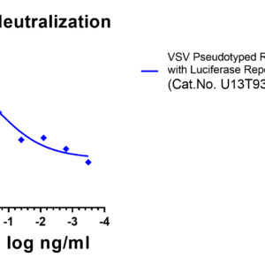 anti rabies virus g antibody (domain iii specific)
