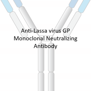 anti lassa virus gp monoclonal neutralizing antibody