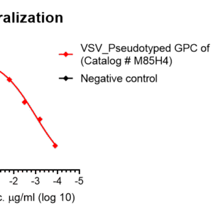 anti lassa virus gp monoclonal neutralizing antibody