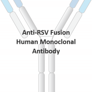 anti rsv fusion human monoclonal antibody