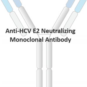 anti hcv e2 neutralizing monoclonal antibody