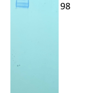 recombinant human anti rsv glycoprotein (g) iga antibody
