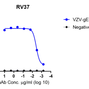 anti varicella zoster virus (vzv) antibody (ge specific)