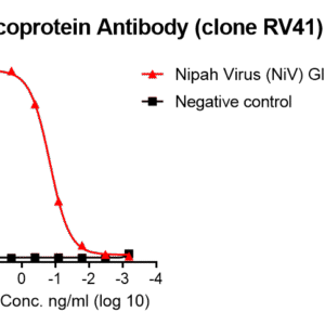 anti nipah virus glycoprotein human monoclonal antibody