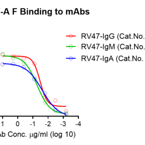 recombinant human anti hmpv fusion igm antibody